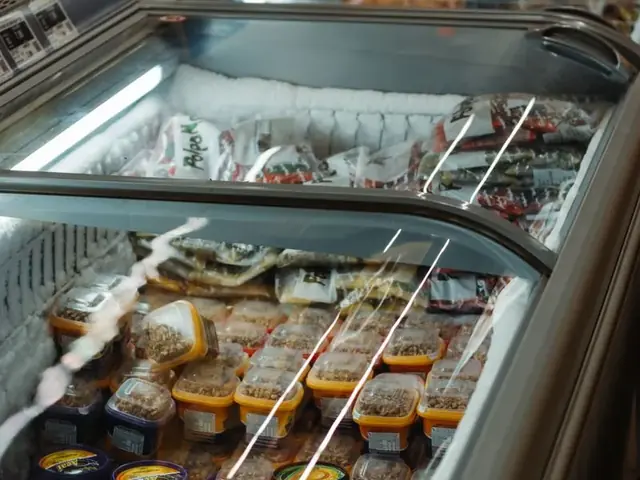 Freezers horizontais comerciais com produtos congelados